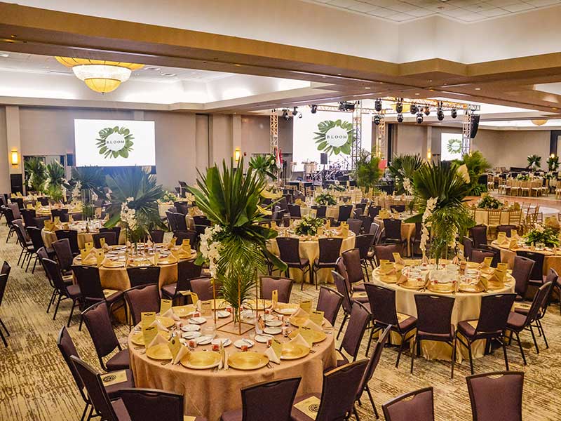 Jungle Island Events