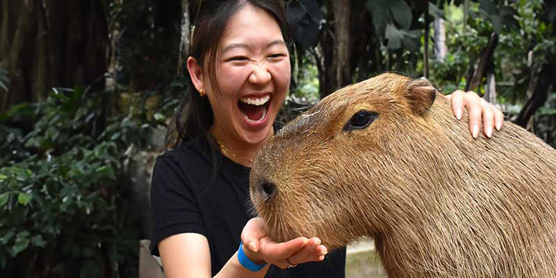 Animal Encounters