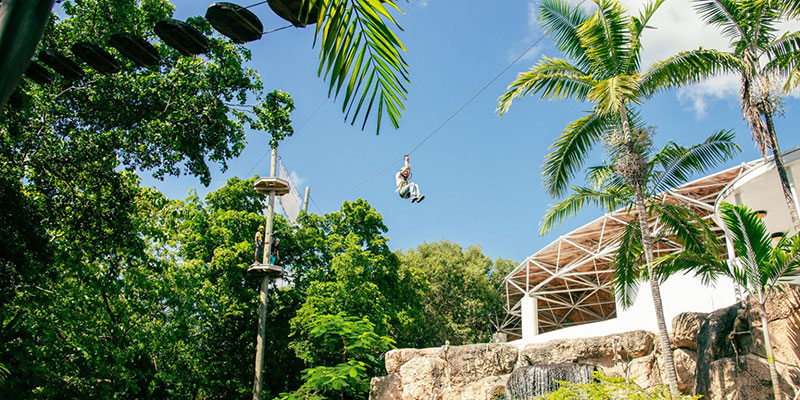 Zipline & Obstacle Course
