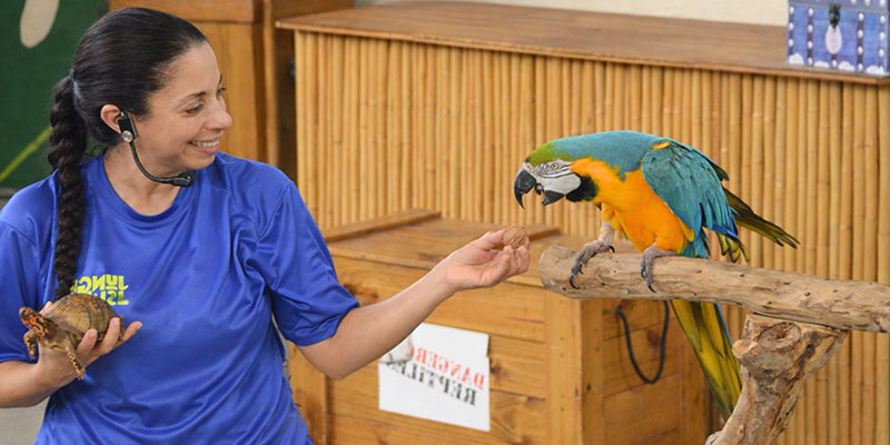 Wildlife Show