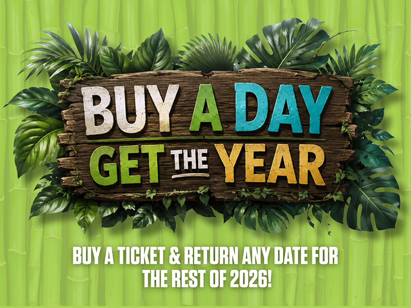 Buy a day get the year - buy a ticket and return any date for the rest of 2026!